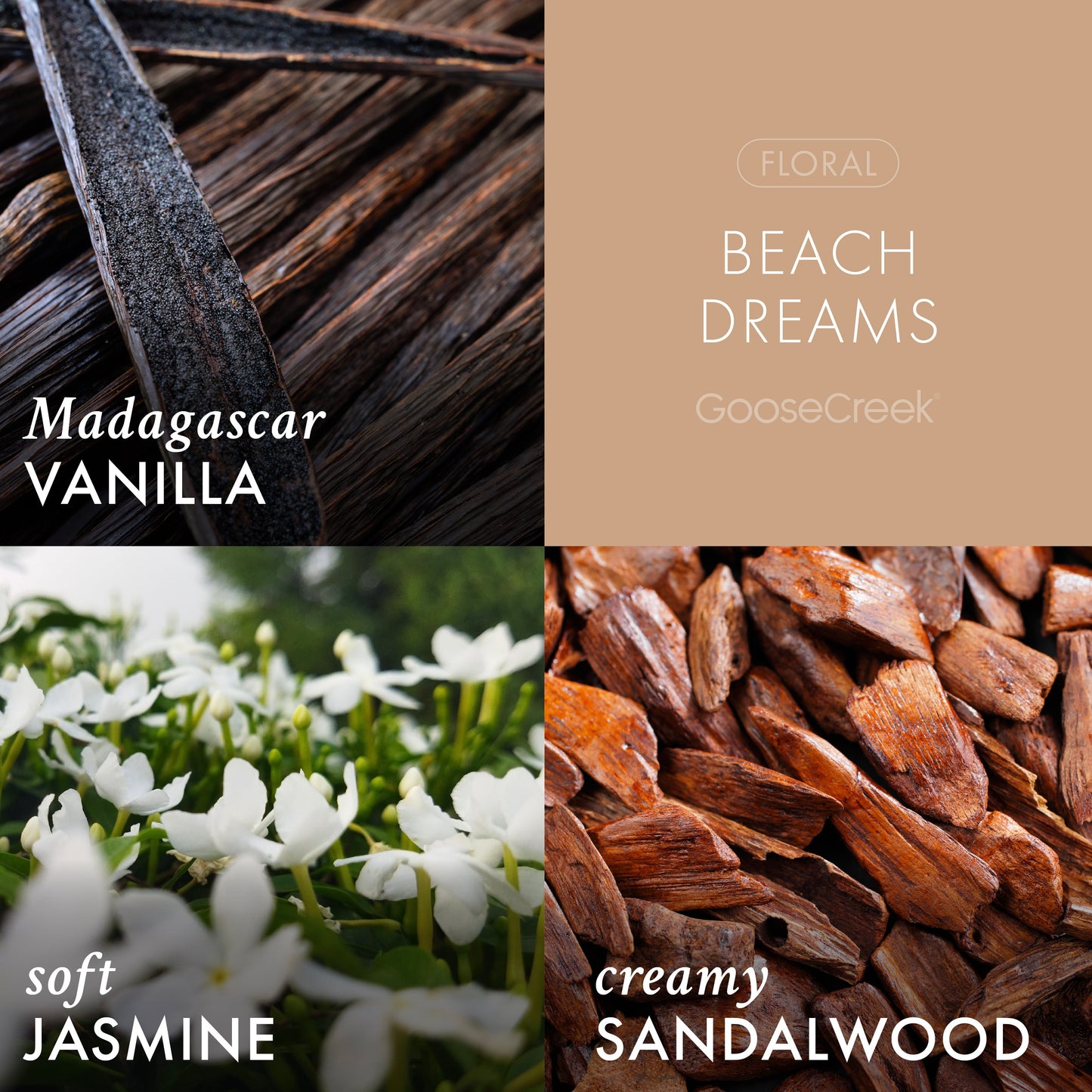 Beach Dreams 3-Wick Candle