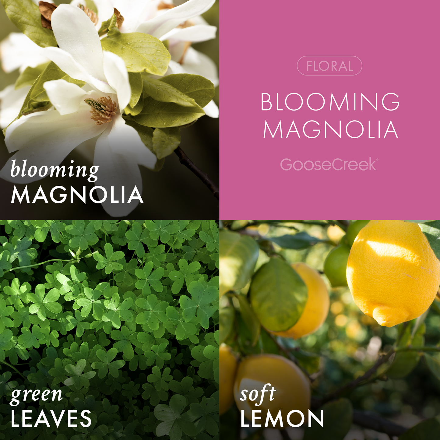 Blooming Magnolia 3-Wick Candle