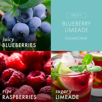 Blueberry Limeade 3-Wick Candle