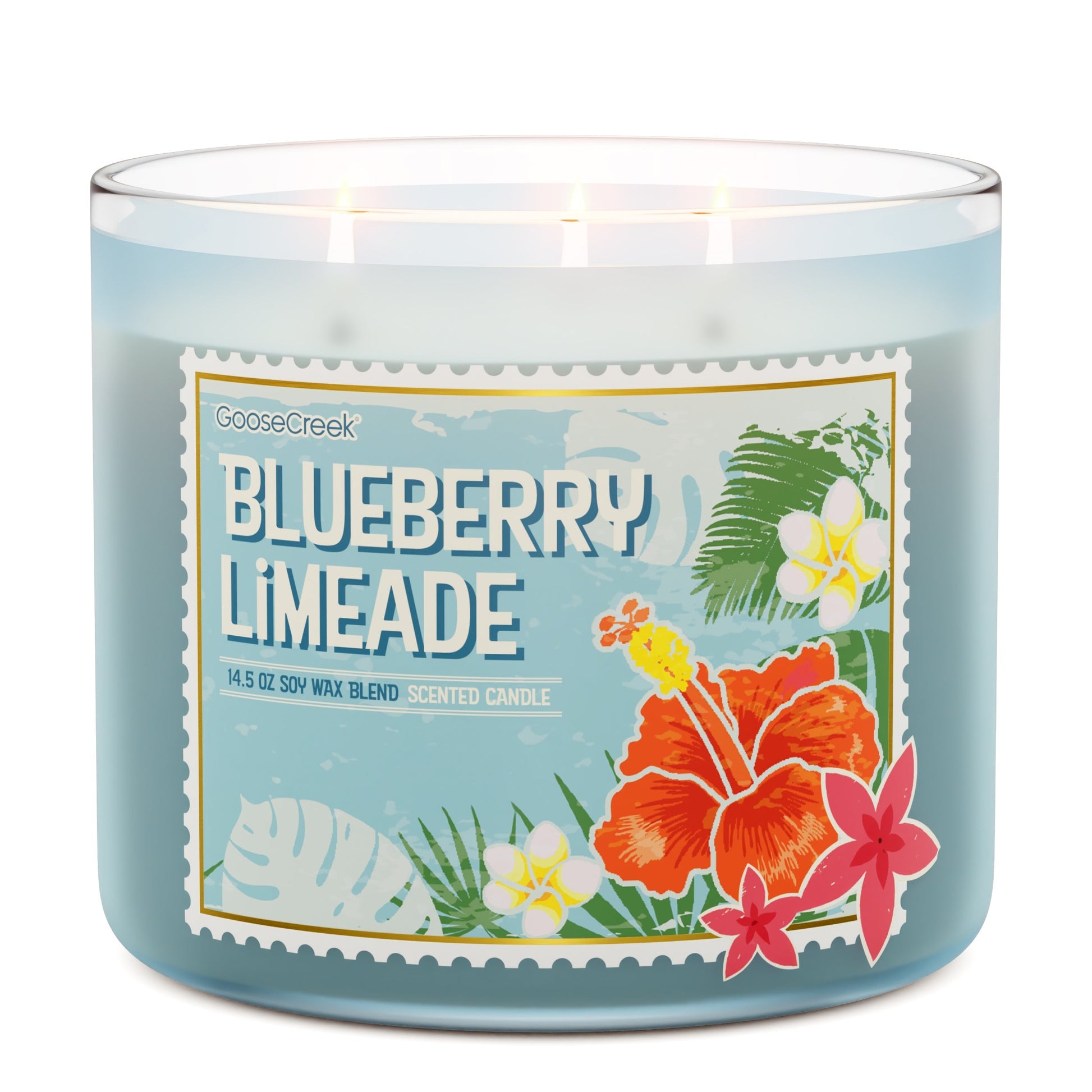 Blueberry Limeade 3-Wick Candle