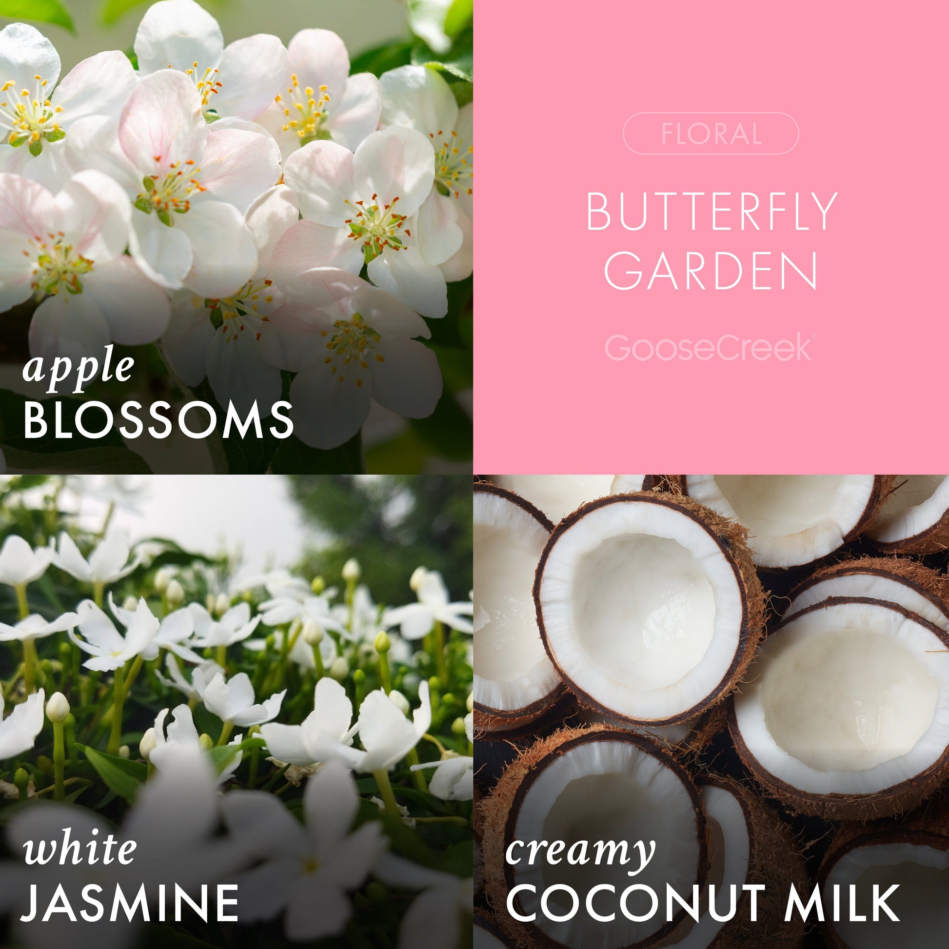 Butterfly Garden 7oz Single Wick Candle