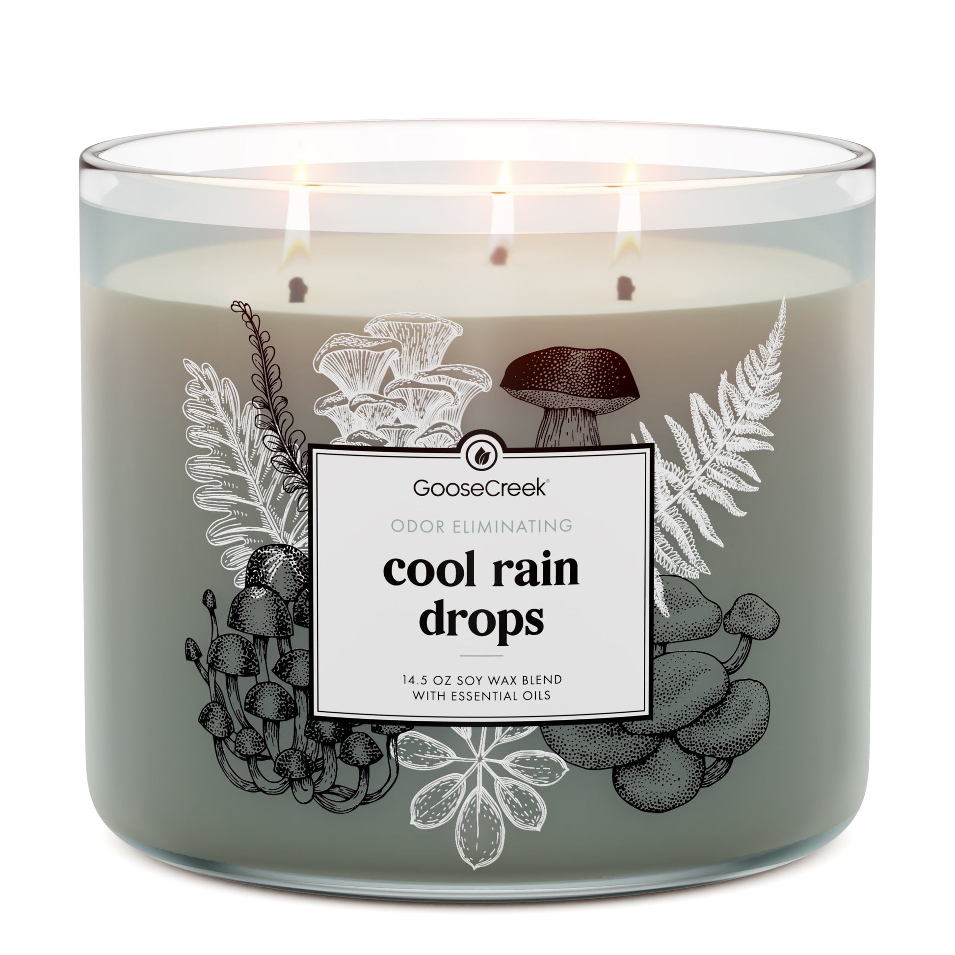 Cool Rain Drops Odor Eliminating 3-Wick Candle