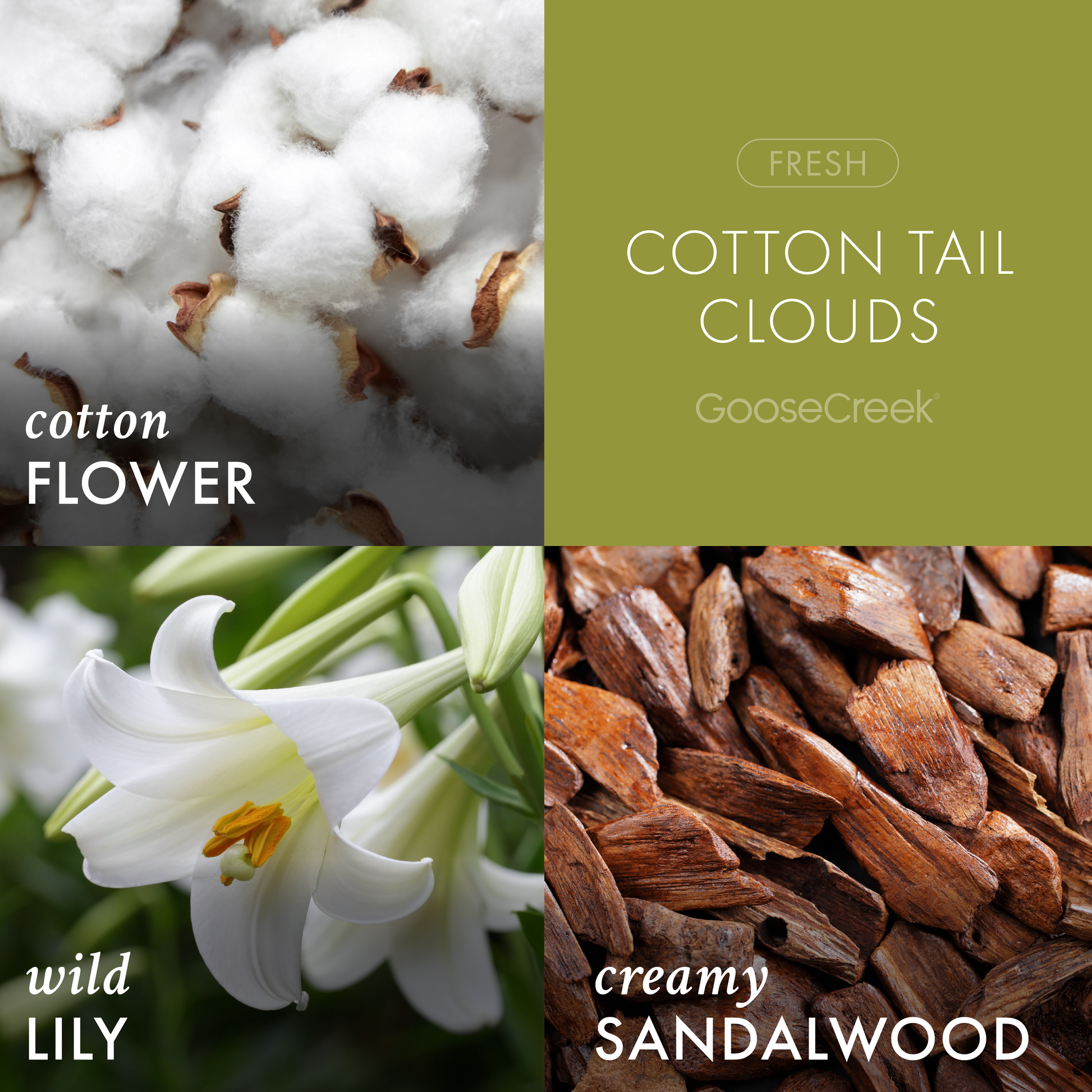 Cotton Tail Clouds 3-Wick Candle