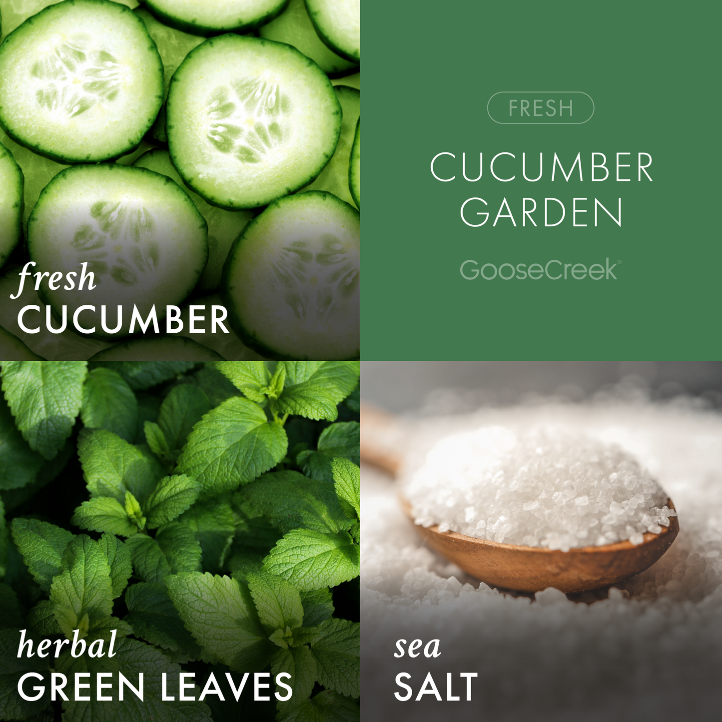 Cucumber Garden 3-Wick Candle