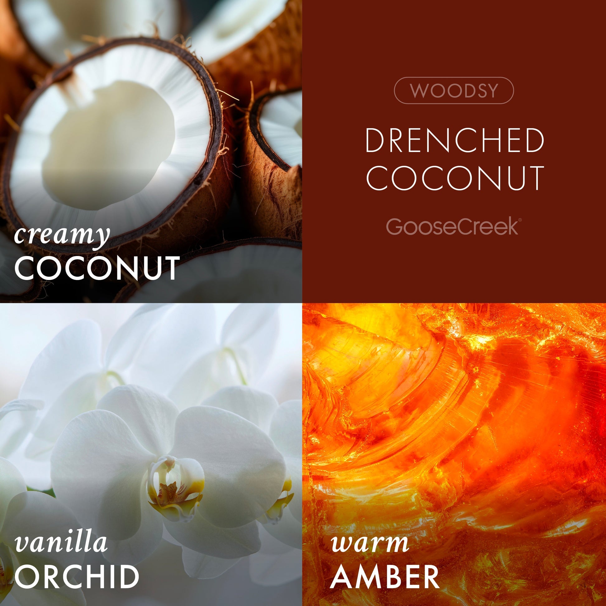 Drenched Coconut 3-Wick Candle