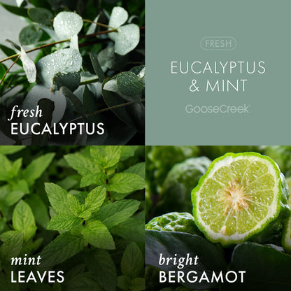 Eucalyptus & Mint Aromatherapy 3-Wick Candle