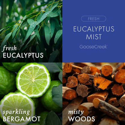 Eucalyptus Mist Odor Eliminating 3-Wick Candle