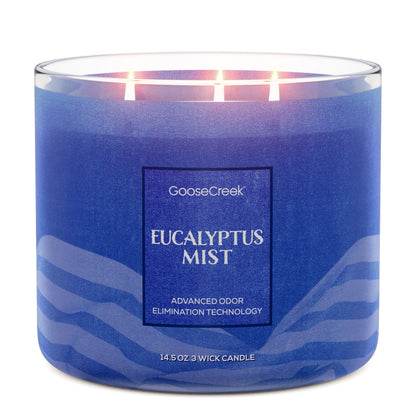 Eucalyptus Mist Odor Eliminating 3-Wick Candle