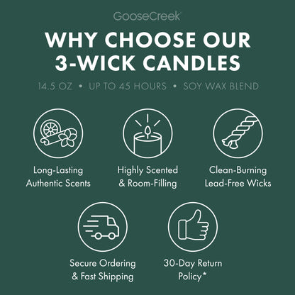 Evergreen Trail 3-Wick Candle