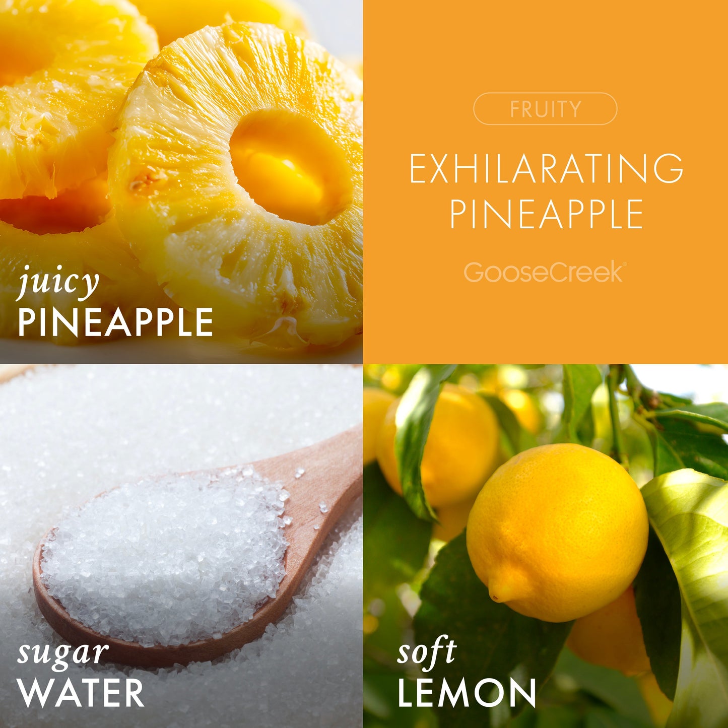 Exhilarating Pineapple 3-Wick Candle