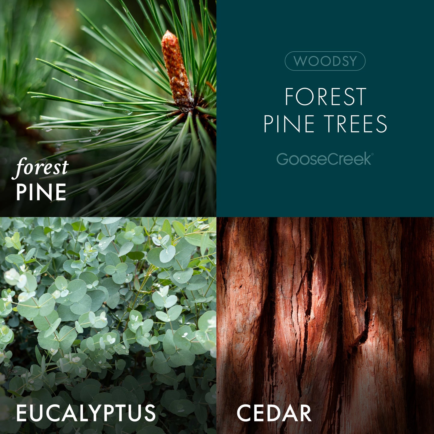 Forest Pine Trees 3-Wick Candle