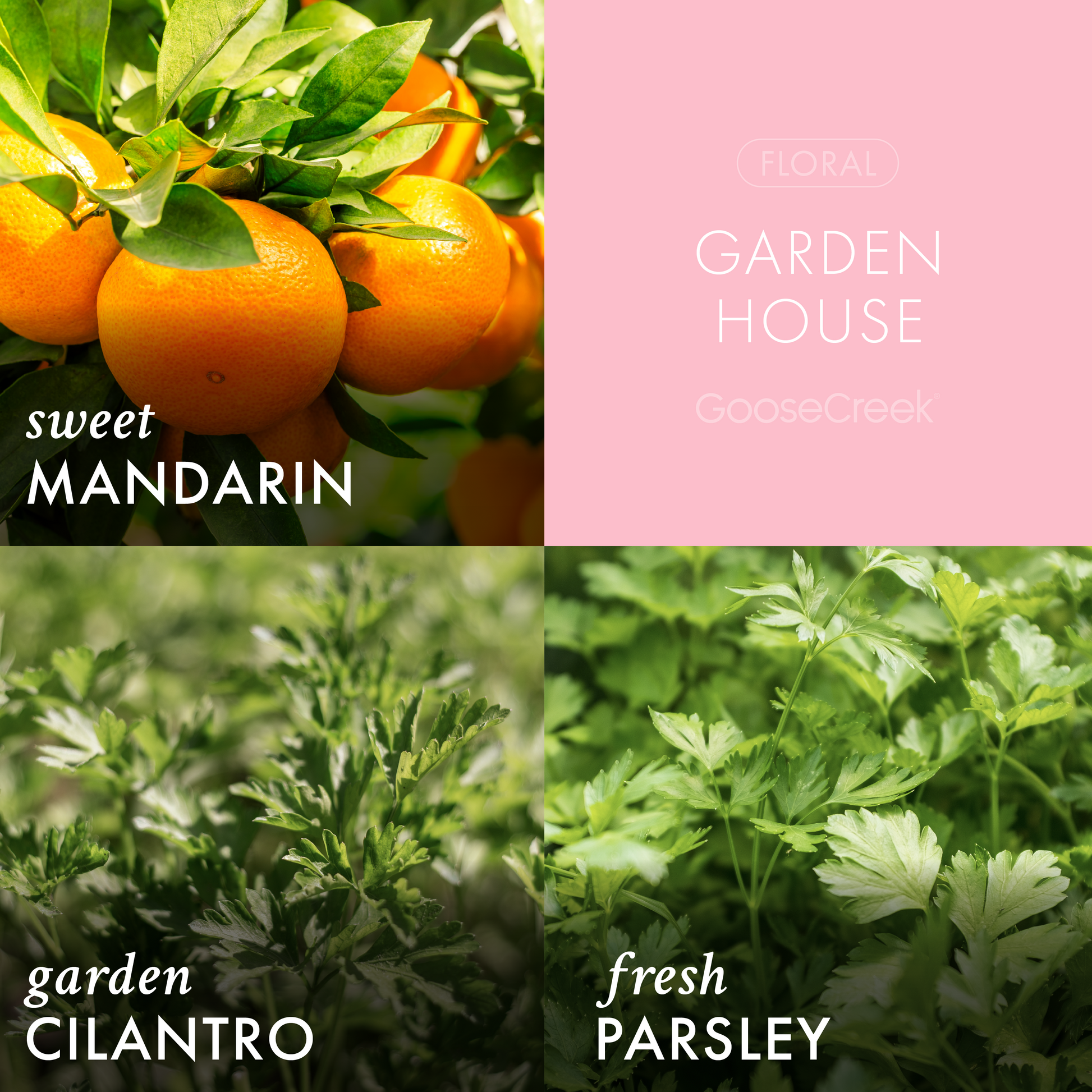 Garden House 3-Wick Candle