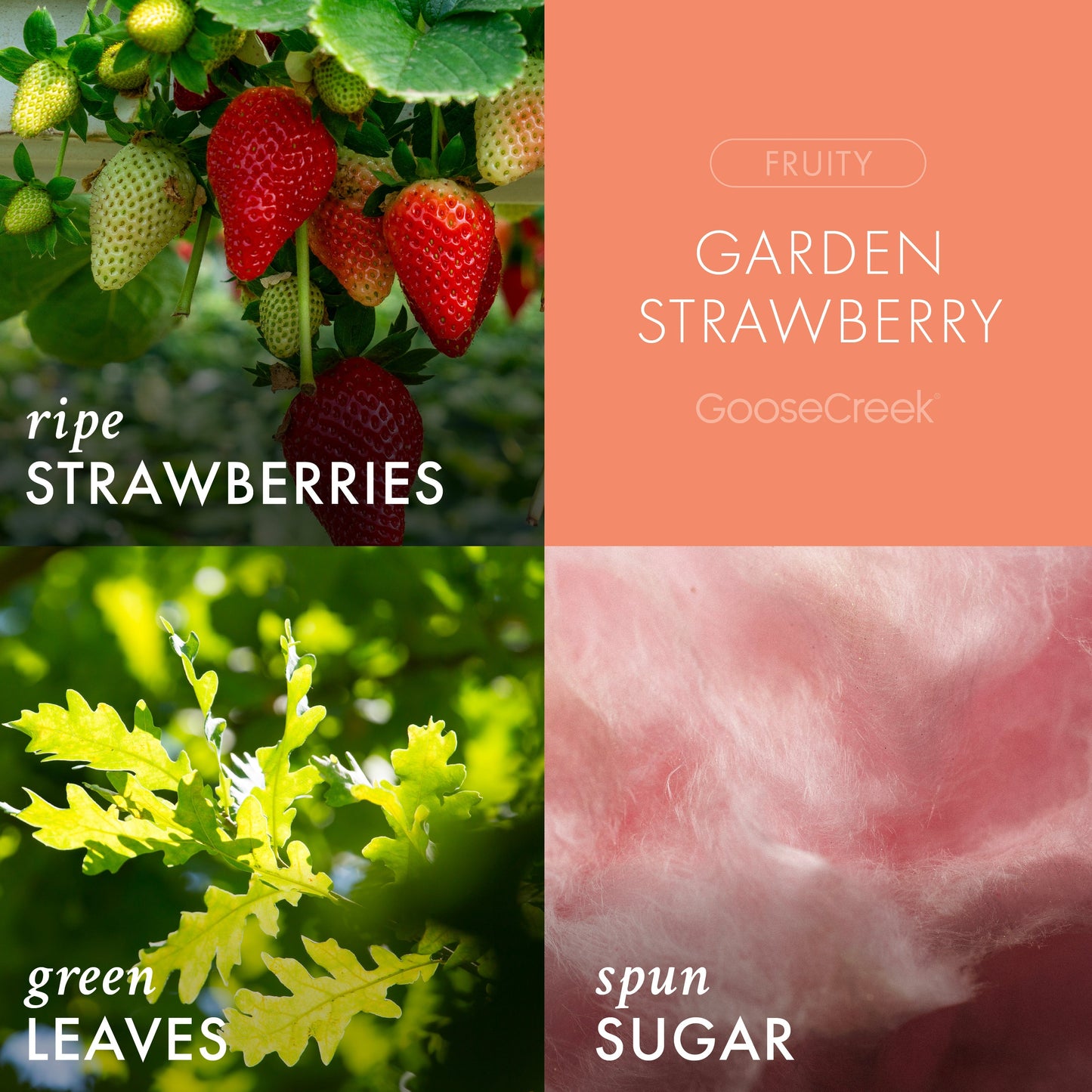 Garden Strawberry 3-Wick Candle