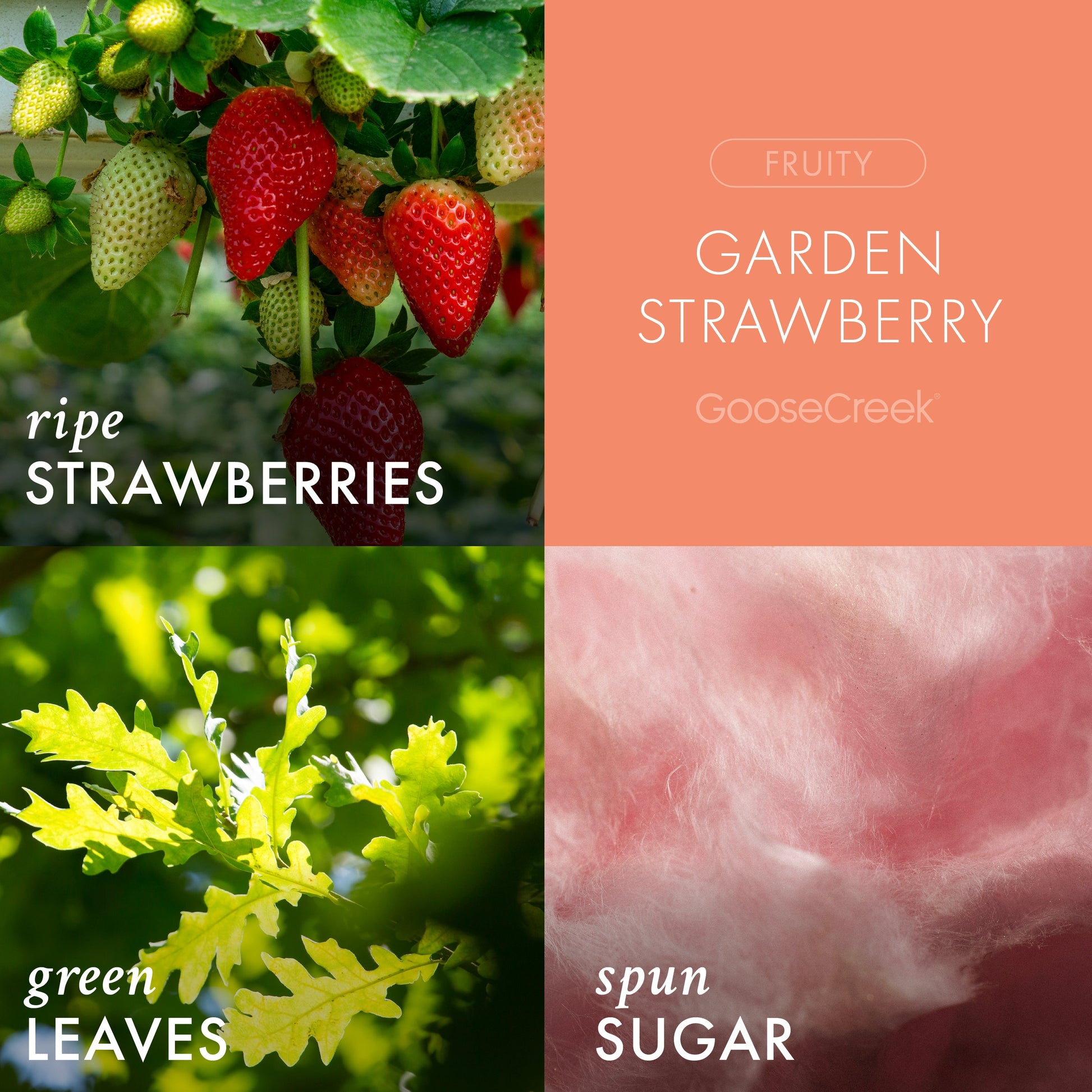 Garden Strawberry 3-Wick Candle