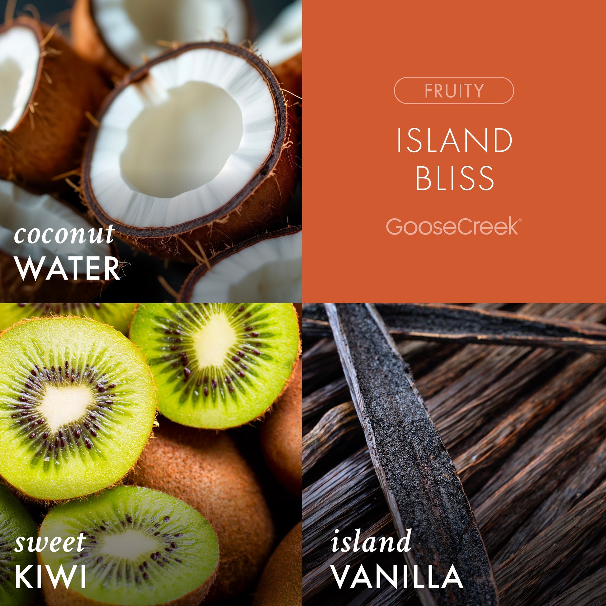 Island Bliss Odor Eliminating 3-Wick Candle