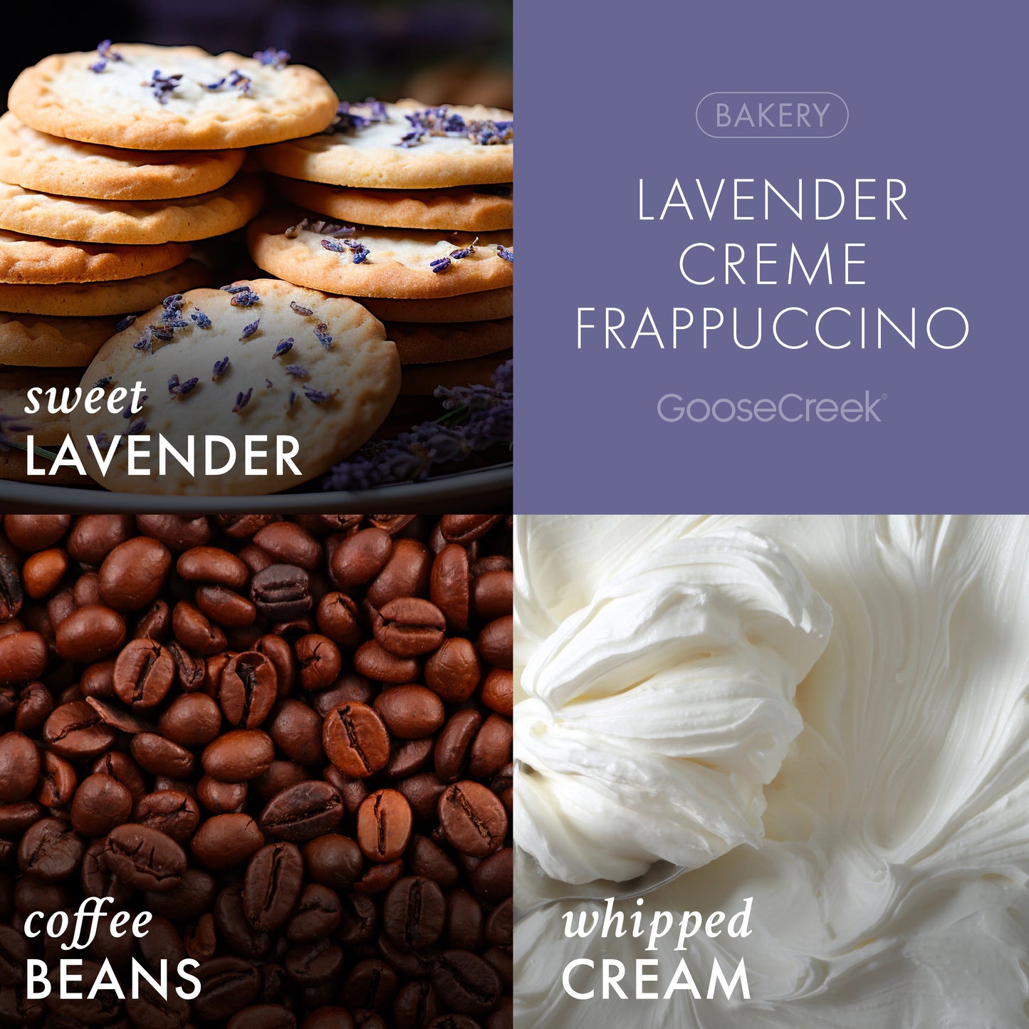 Lavender Creme Frappuccino 3-Wick Candle