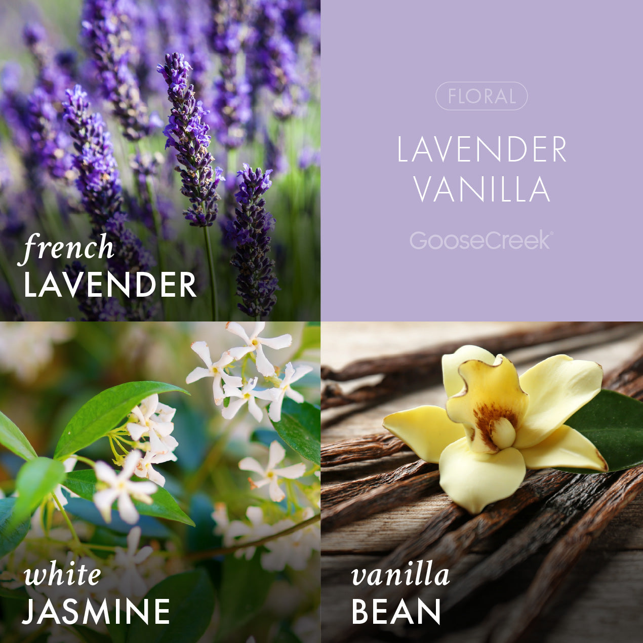 Lavender Vanilla Odor Eliminating Plug-in Refill