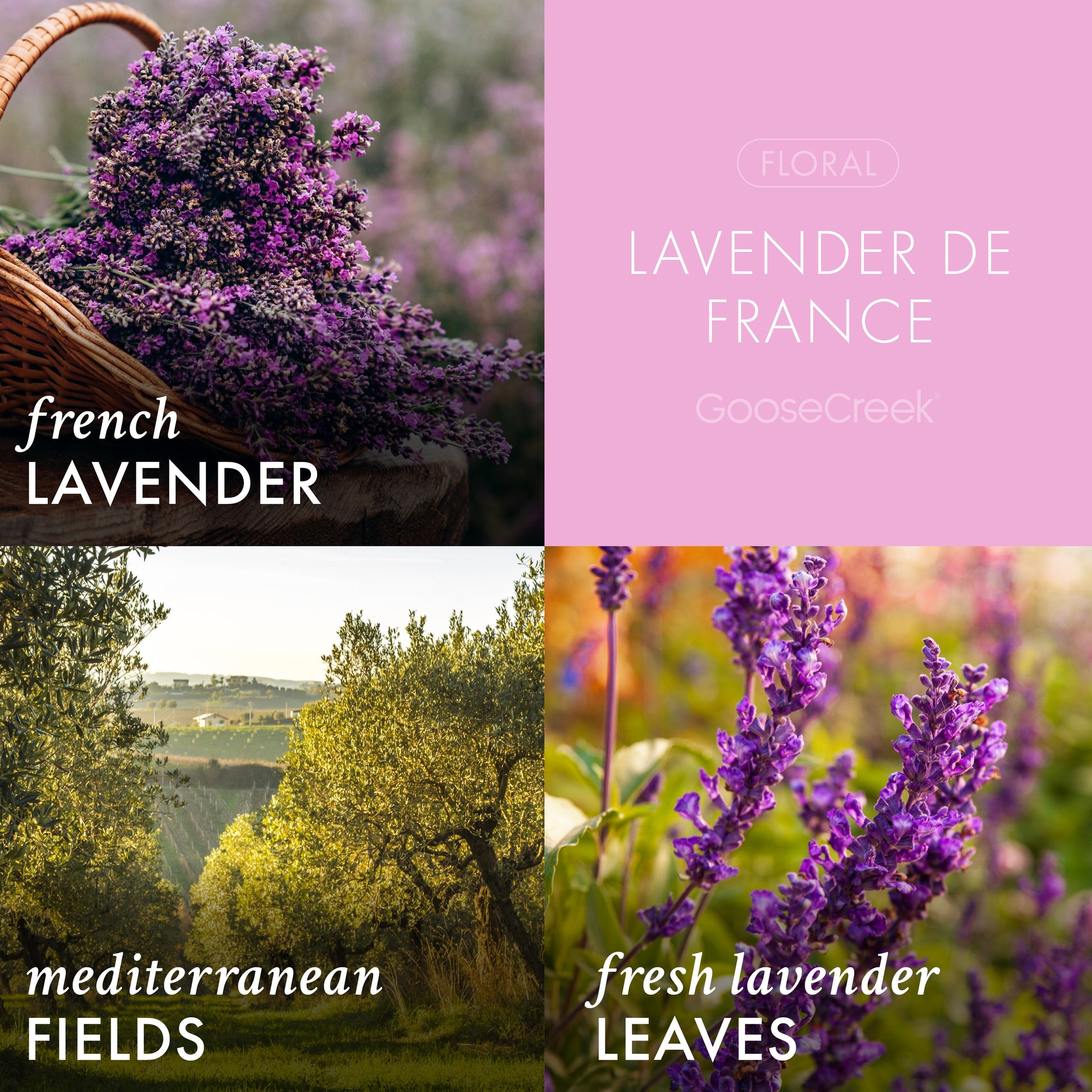 Lavender de France 3-Wick Candle