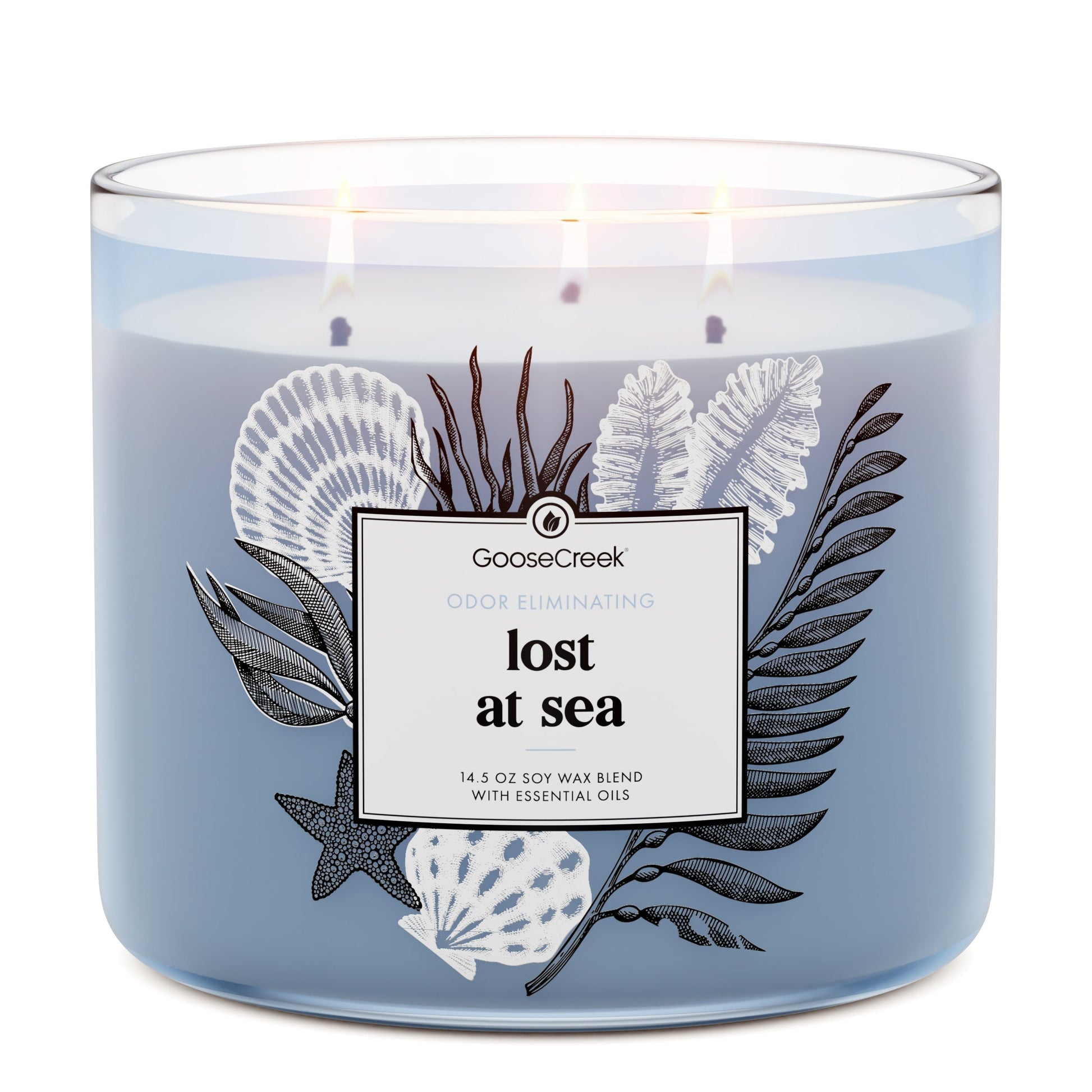 Lost at Sea Odor Eliminating 3-Wick Candle