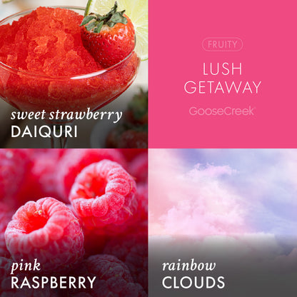 Lush Getaway Lush Foaming Hand Soap