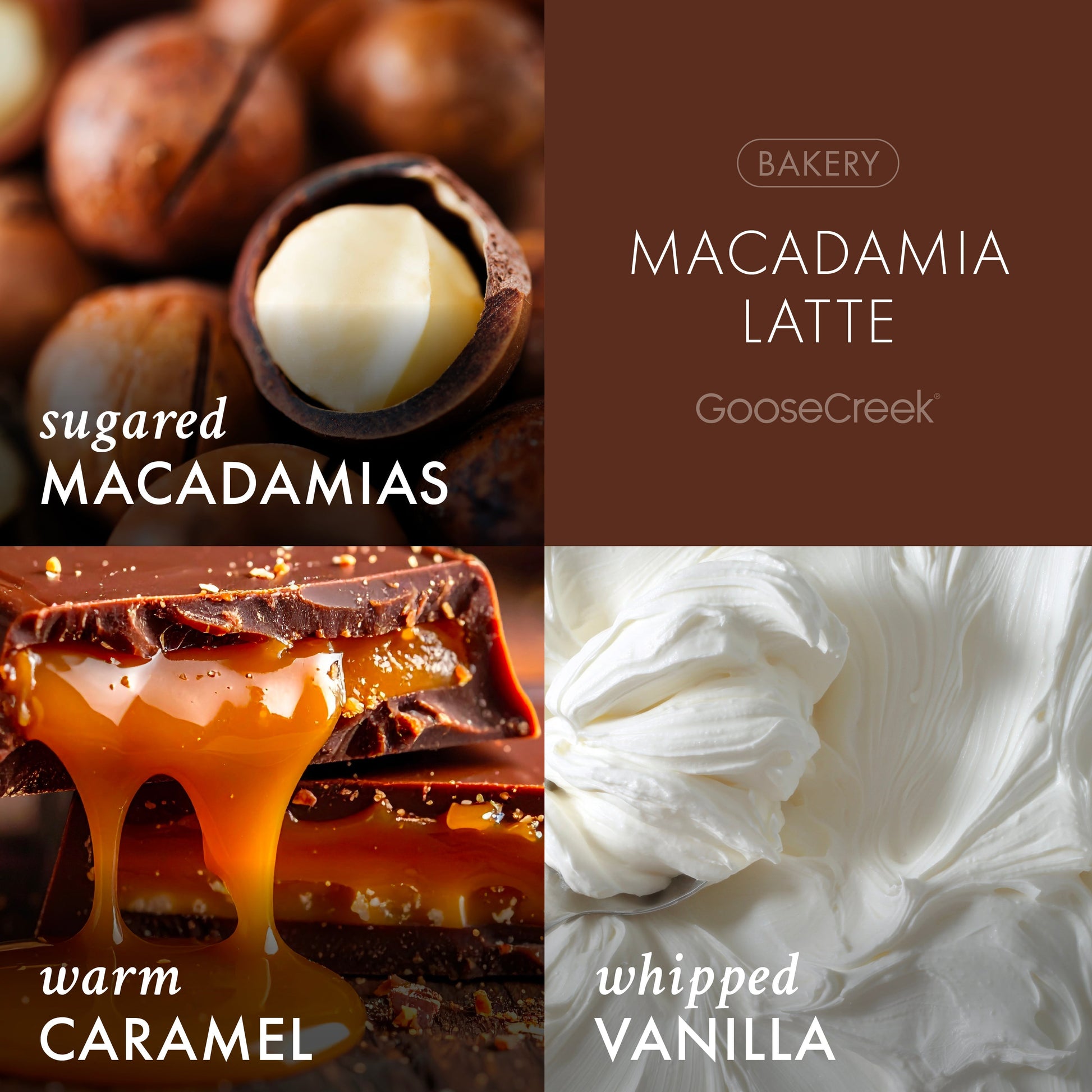 Macadamia Latte 3-Wick Candle