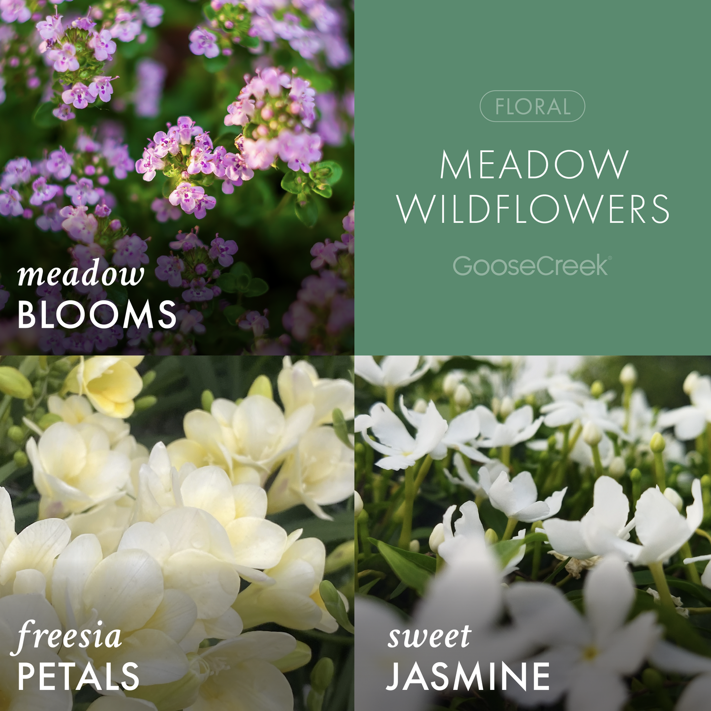 Meadow Wildflowers 3-Wick Candle