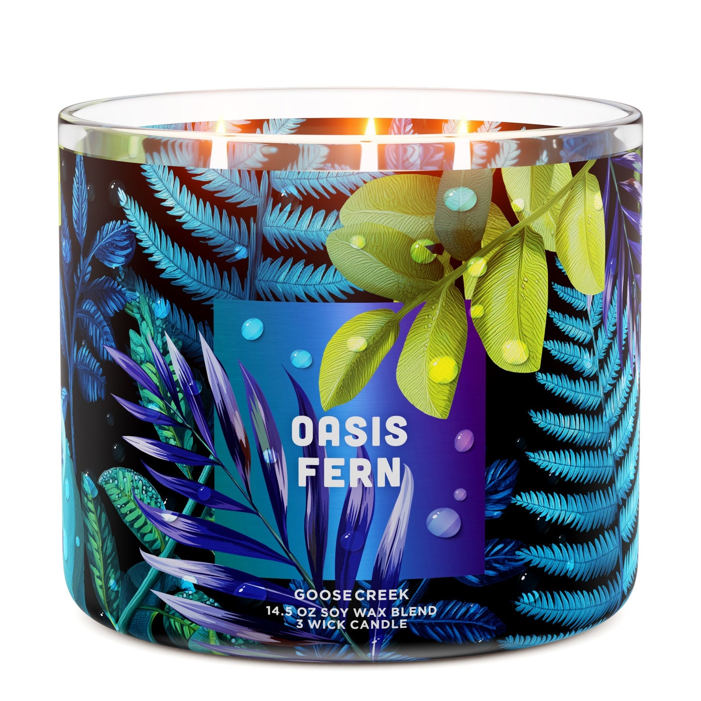 Oasis Fern 3-Wick Candle
