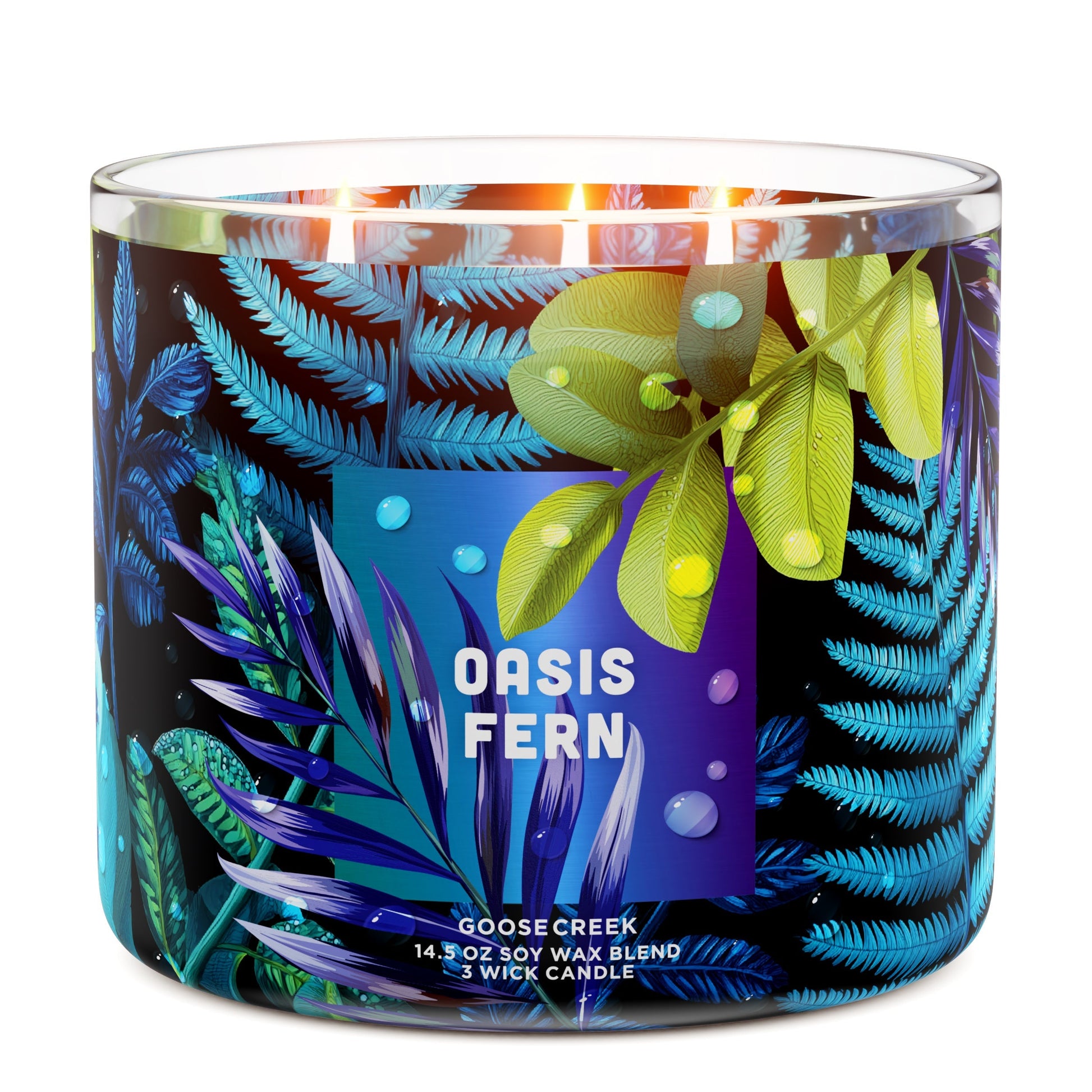 Oasis Fern 3-Wick Candle