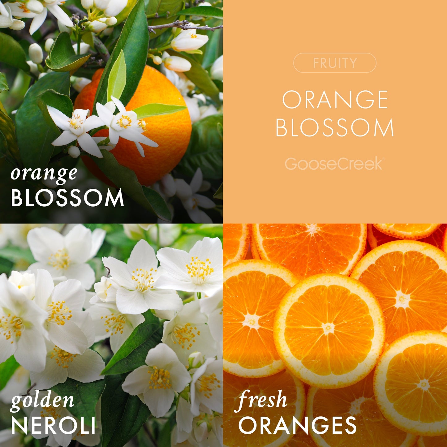 Orange Blossom 3-Wick Candle