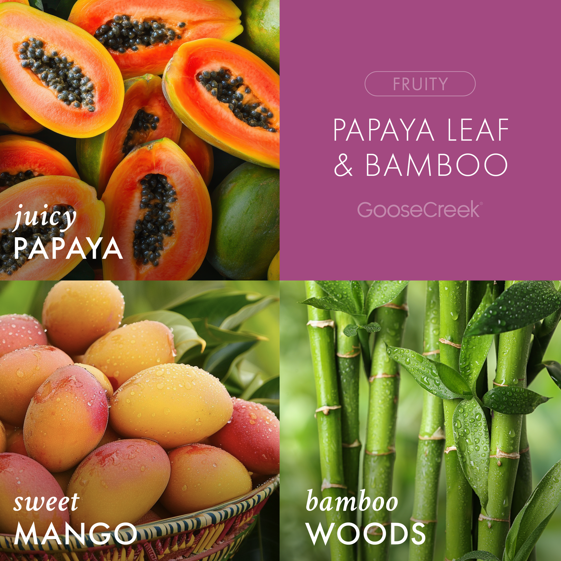 Papaya Leaf & Bamboo 3-Wick Candle