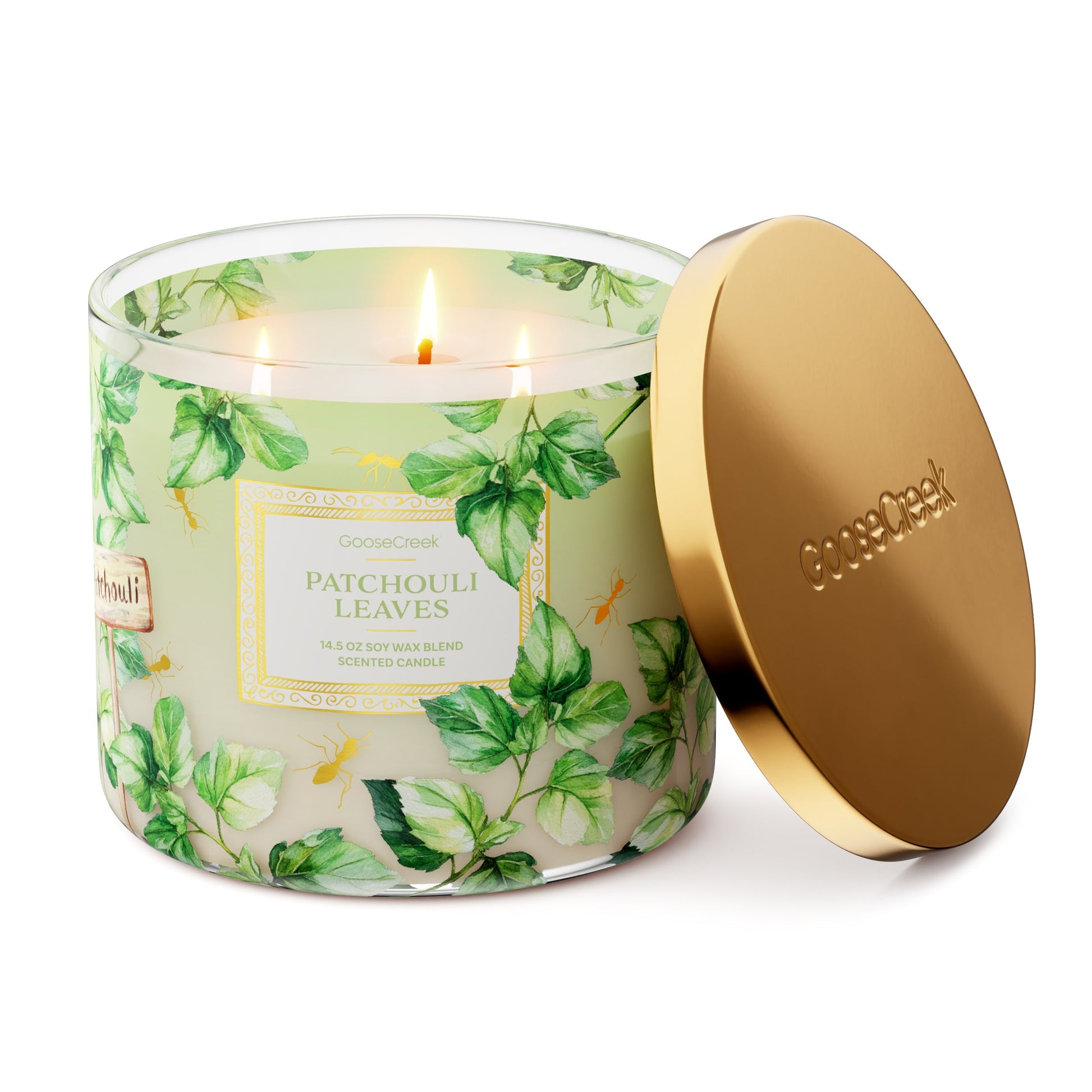Patchouli Leaves 3-Wick Candle