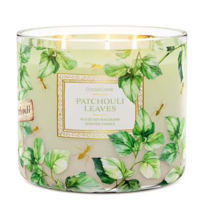 Patchouli Leaves 3-Wick Candle
