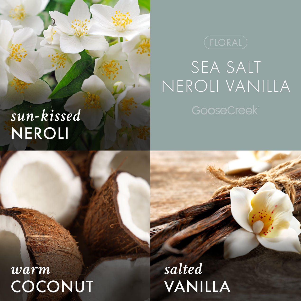 Sea Salt Neroli Vanilla Wax Melt