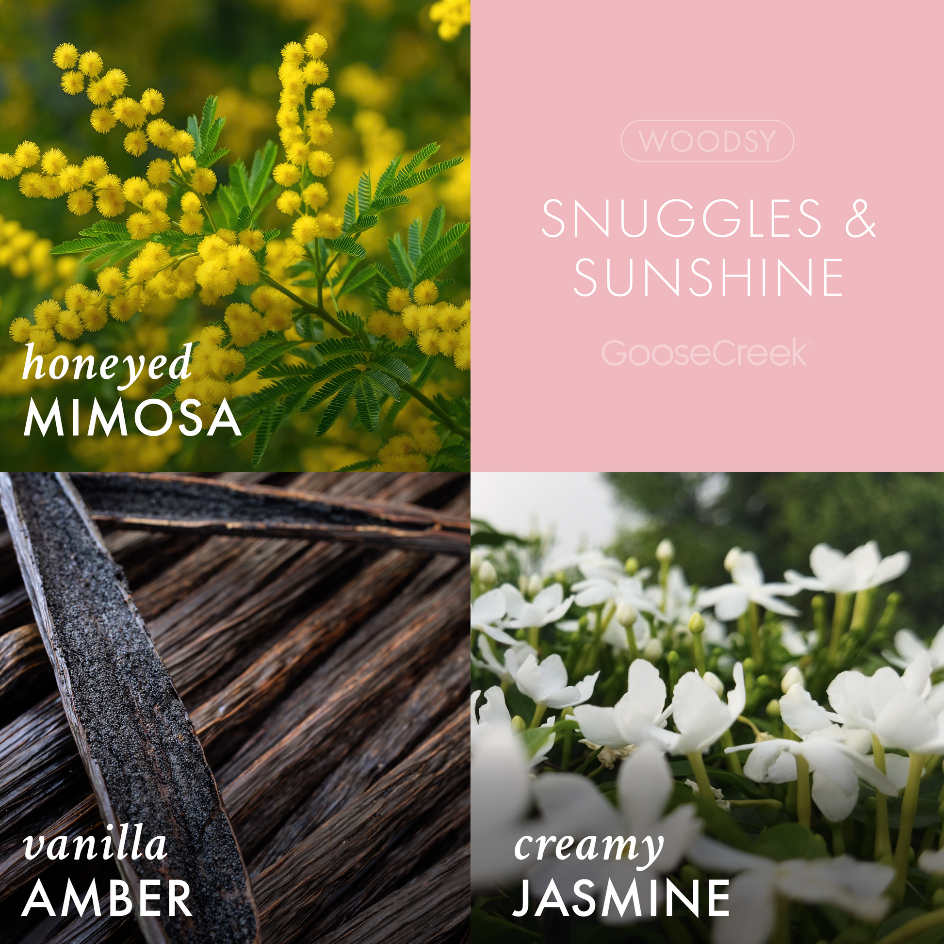 Snuggles & Sunshine 3-Wick Candle