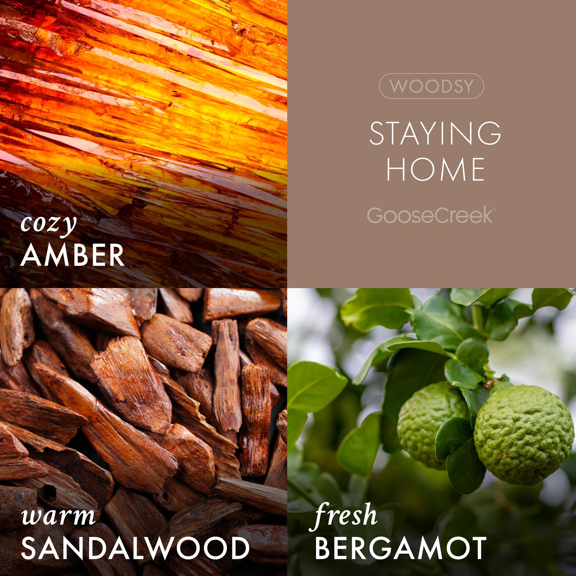 Staying Home Plug-in Refill