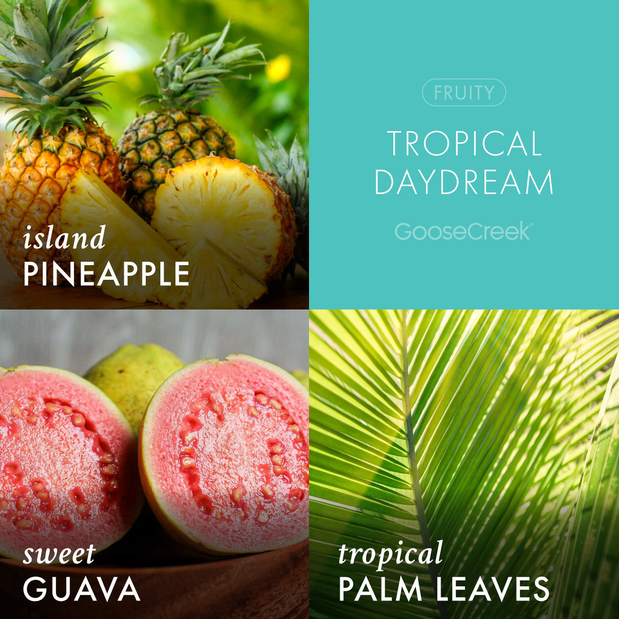 Tropical Daydream Lush Foaming Hand Soap