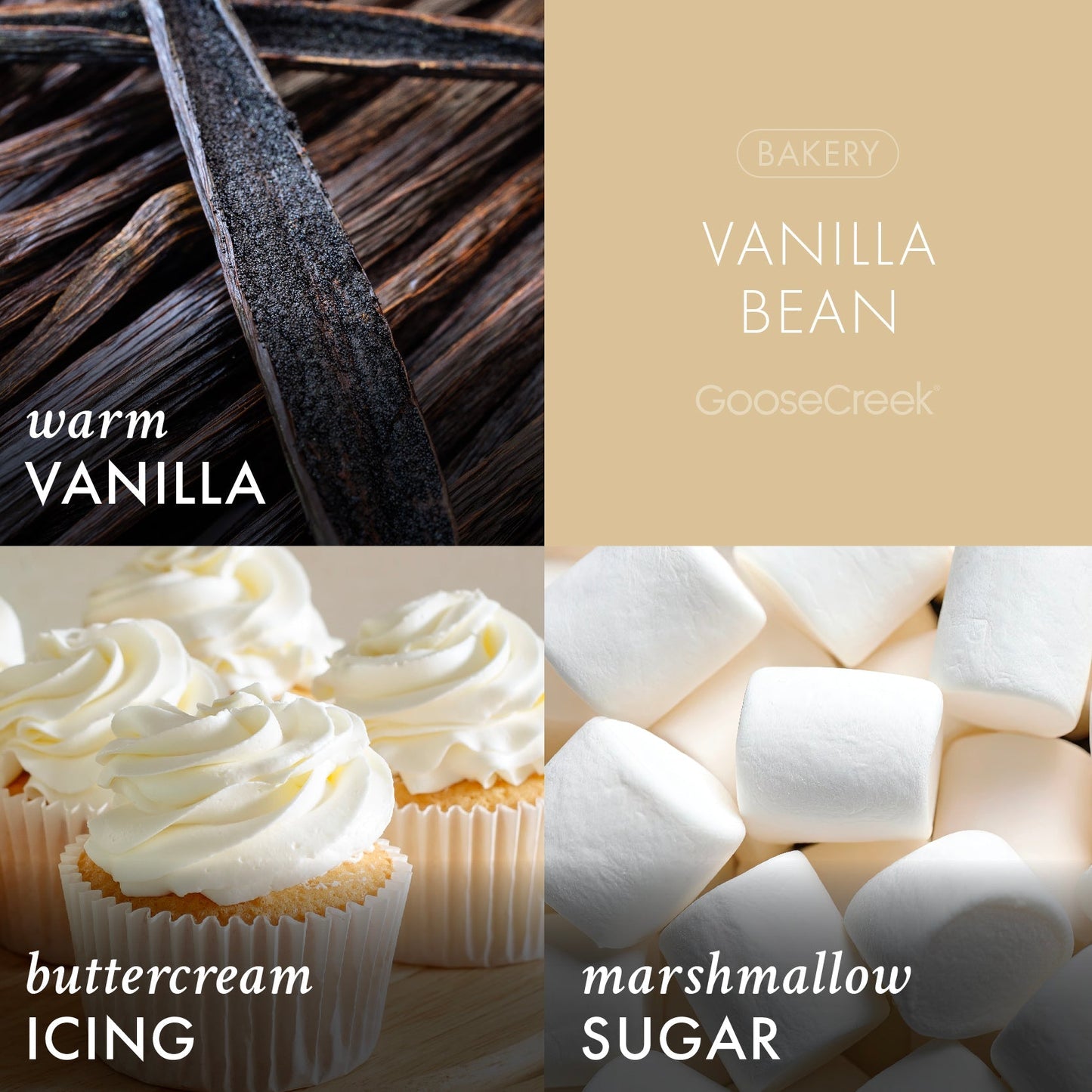 Vanilla Bean 7oz Single Wick Candle