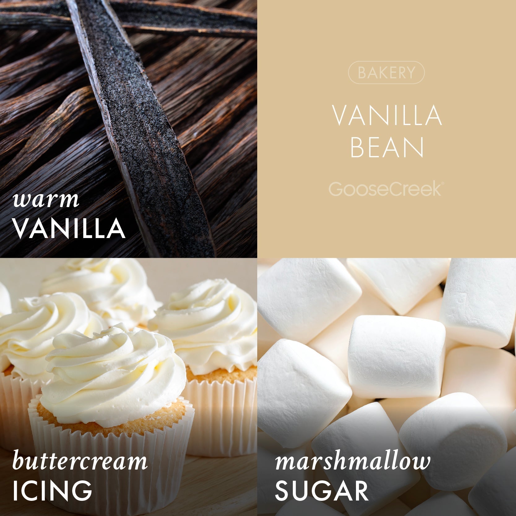 Vanilla Bean 7oz Single Wick Candle