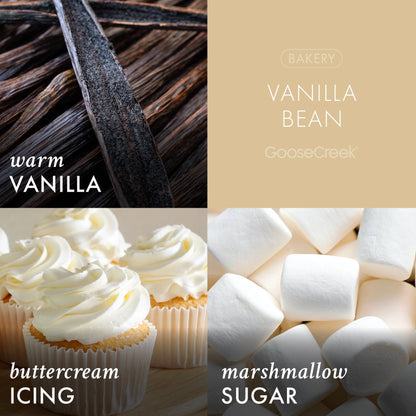 Vanilla Bean 7oz Single Wick Candle