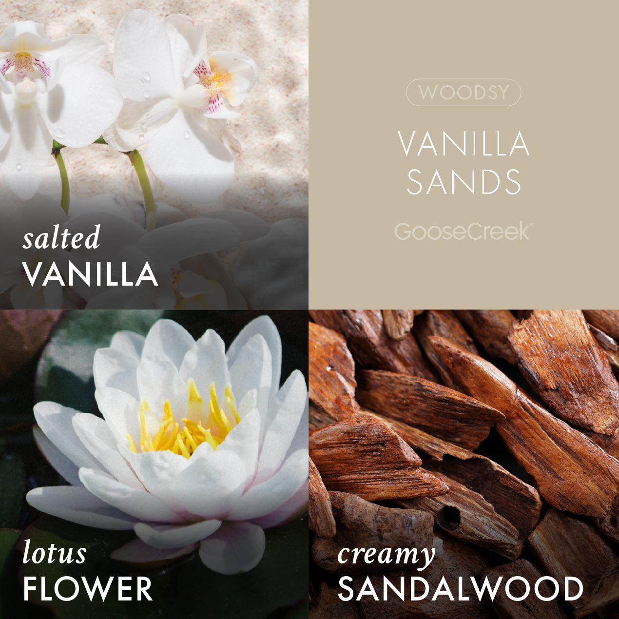 Vanilla Sands Lush Foaming Hand Soap