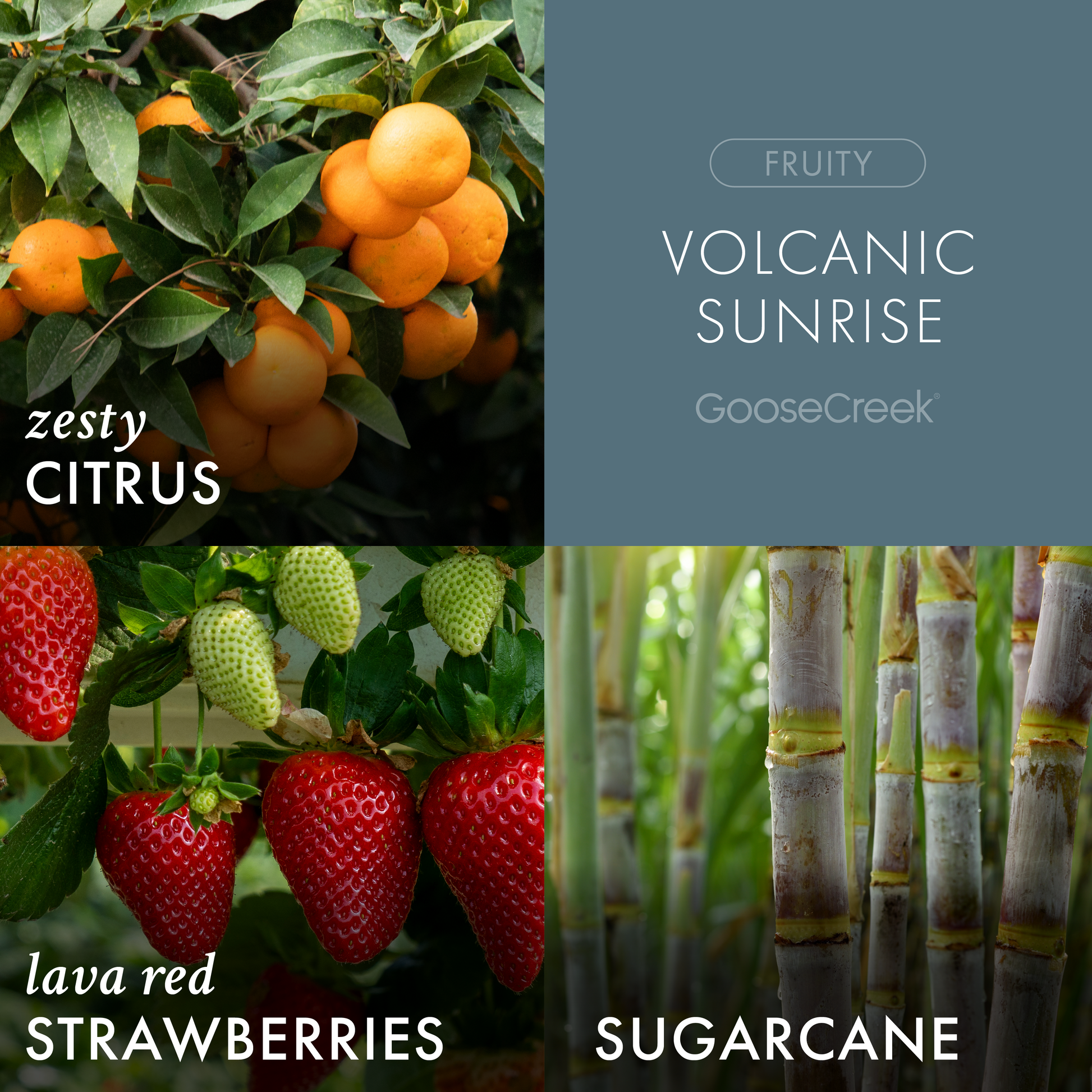 Volcanic Sunrise 7oz Single Wick Candle