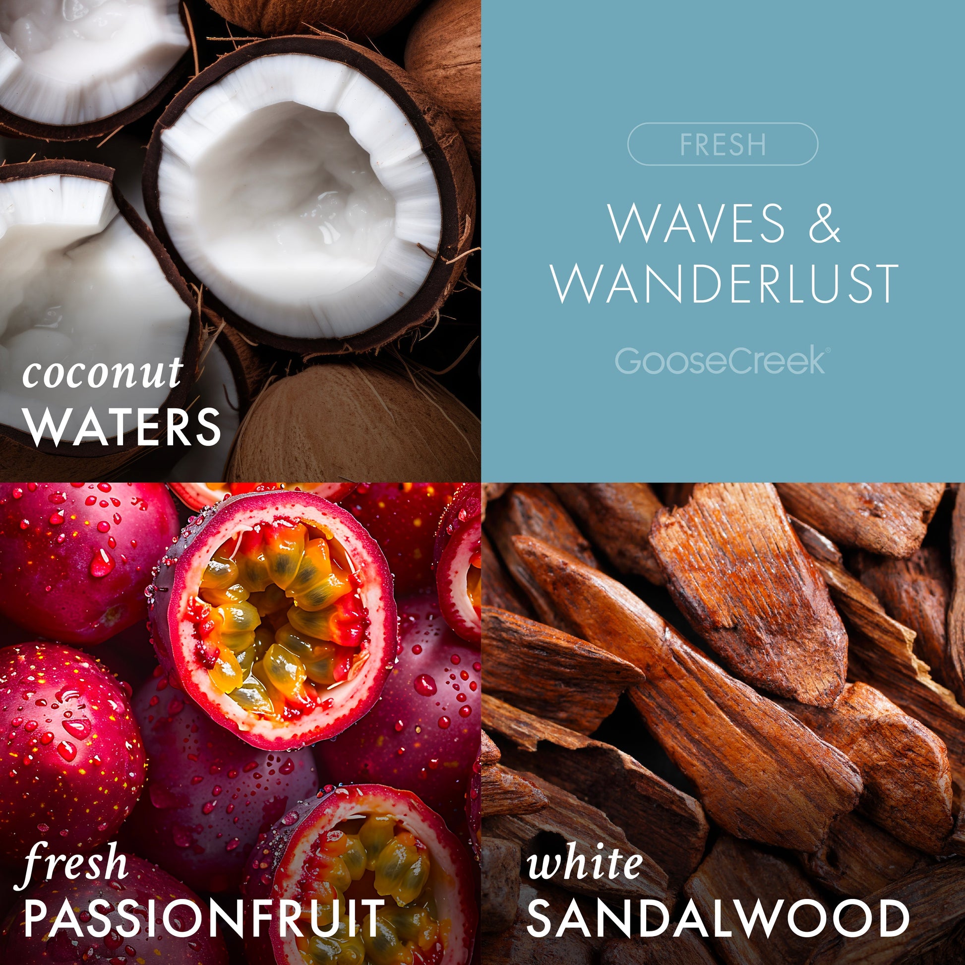 Waves & Wanderlust 3-Wick Candle
