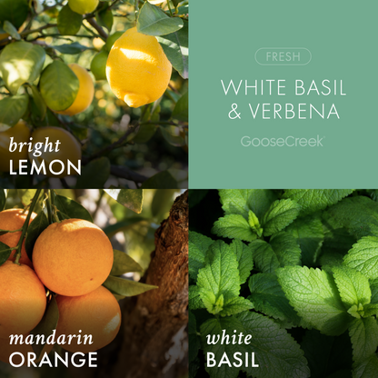 White Basil & Verbena 3-Wick Candle