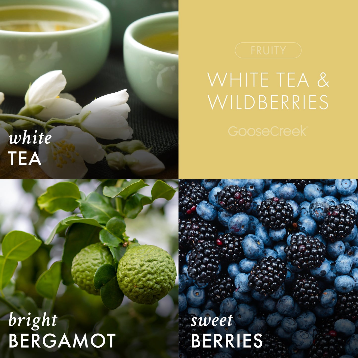 White Tea & Wildberries 3-Wick Candle