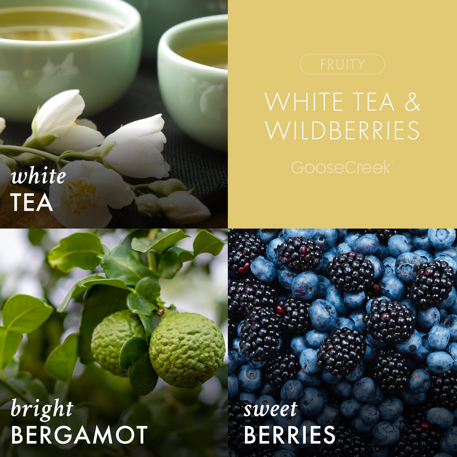 White Tea & Wildberries 3-Wick Candle