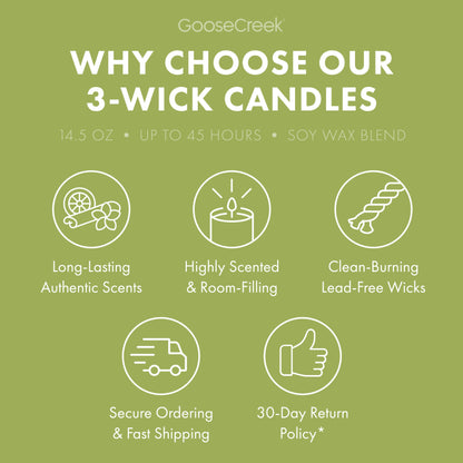 Wild Green Apple Odor Eliminating 3-Wick Candle