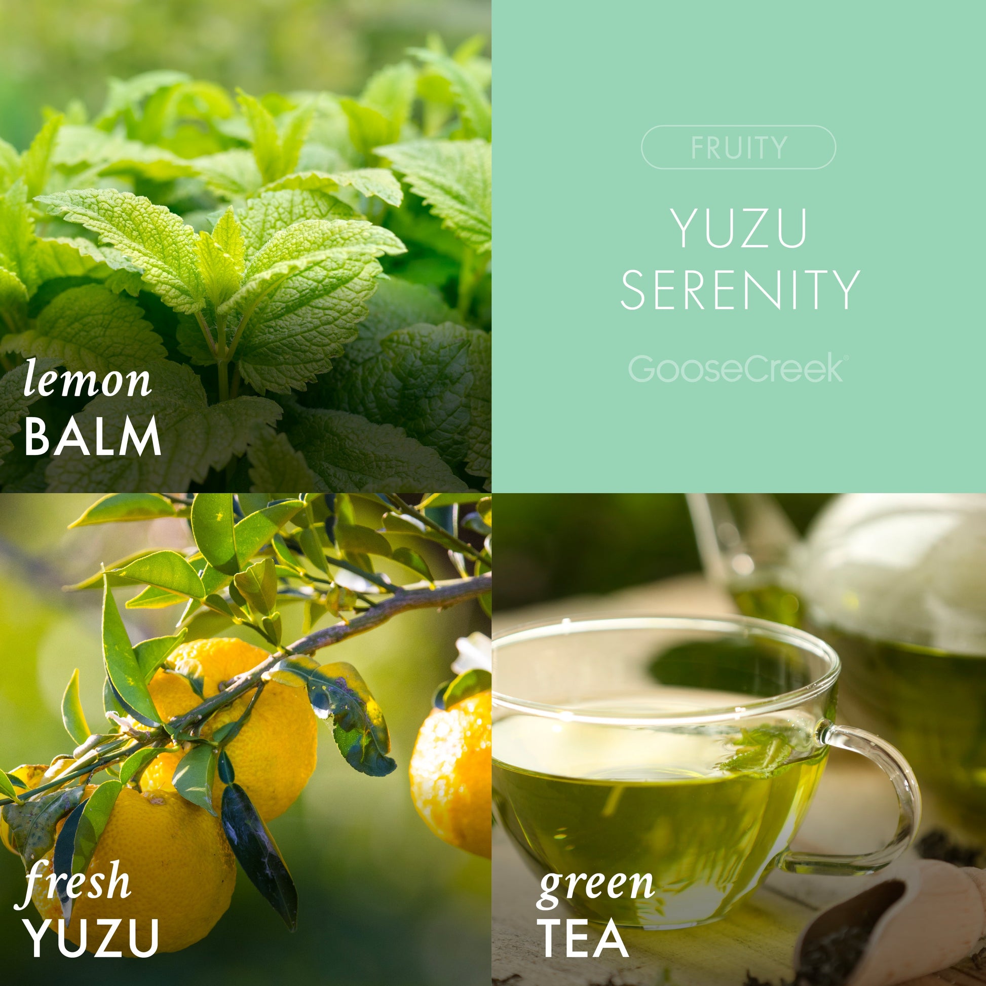 Yuzu Serenity 3-Wick Candle